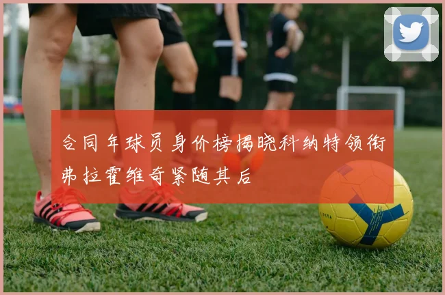 合同年球员身价榜揭晓科纳特领衔弗拉霍维奇紧随其后