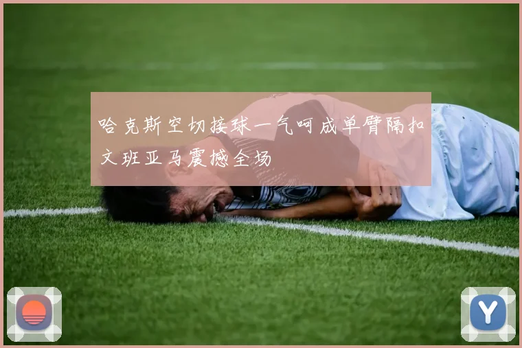 哈克斯空切接球一气呵成单臂隔扣文班亚马震撼全场