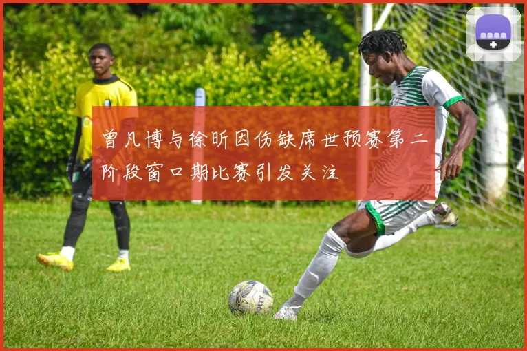 曾凡博与徐昕因伤缺席世预赛第二阶段窗口期比赛引发关注