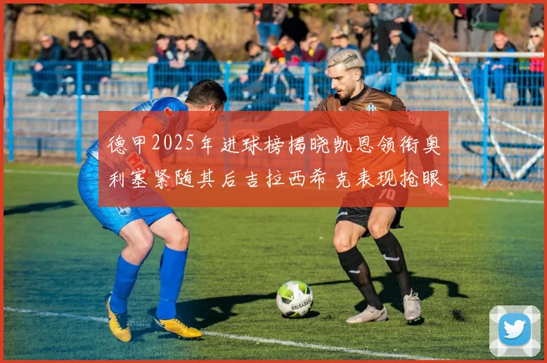 德甲2025年进球榜揭晓凯恩领衔奥利塞紧随其后吉拉西希克表现抢眼